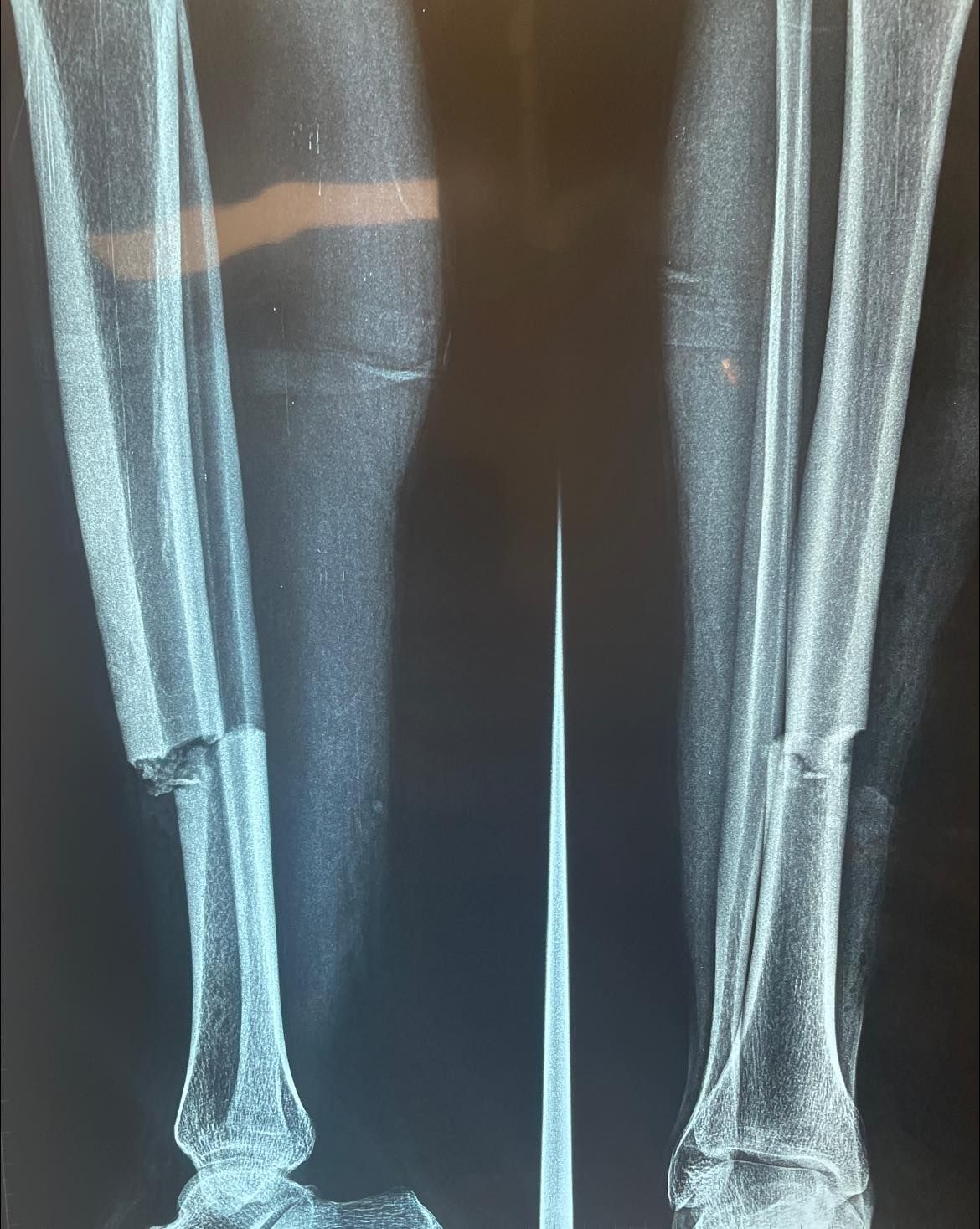 Felix Alfaro Arias-46