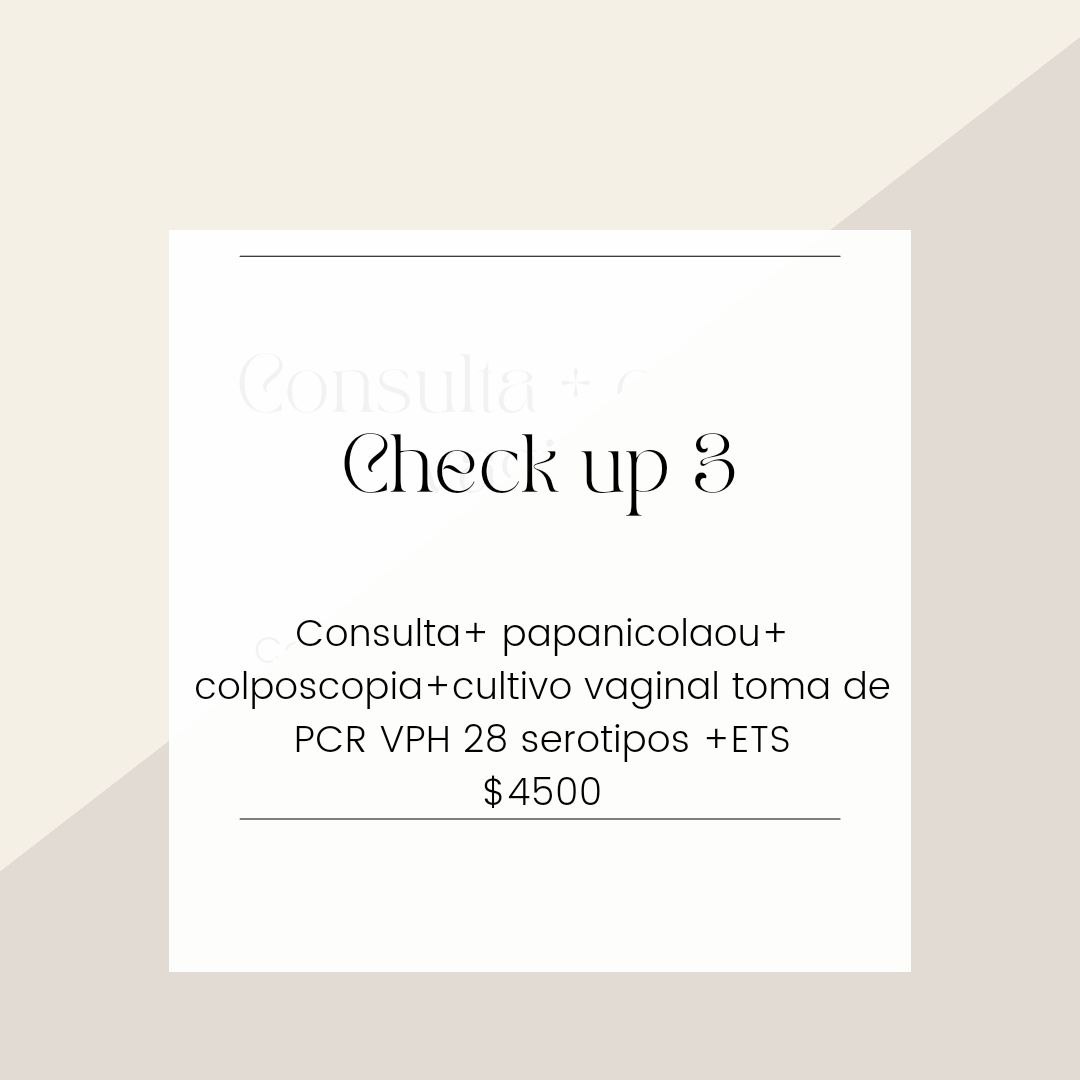 María José Rodríguez Gutiérrez-10