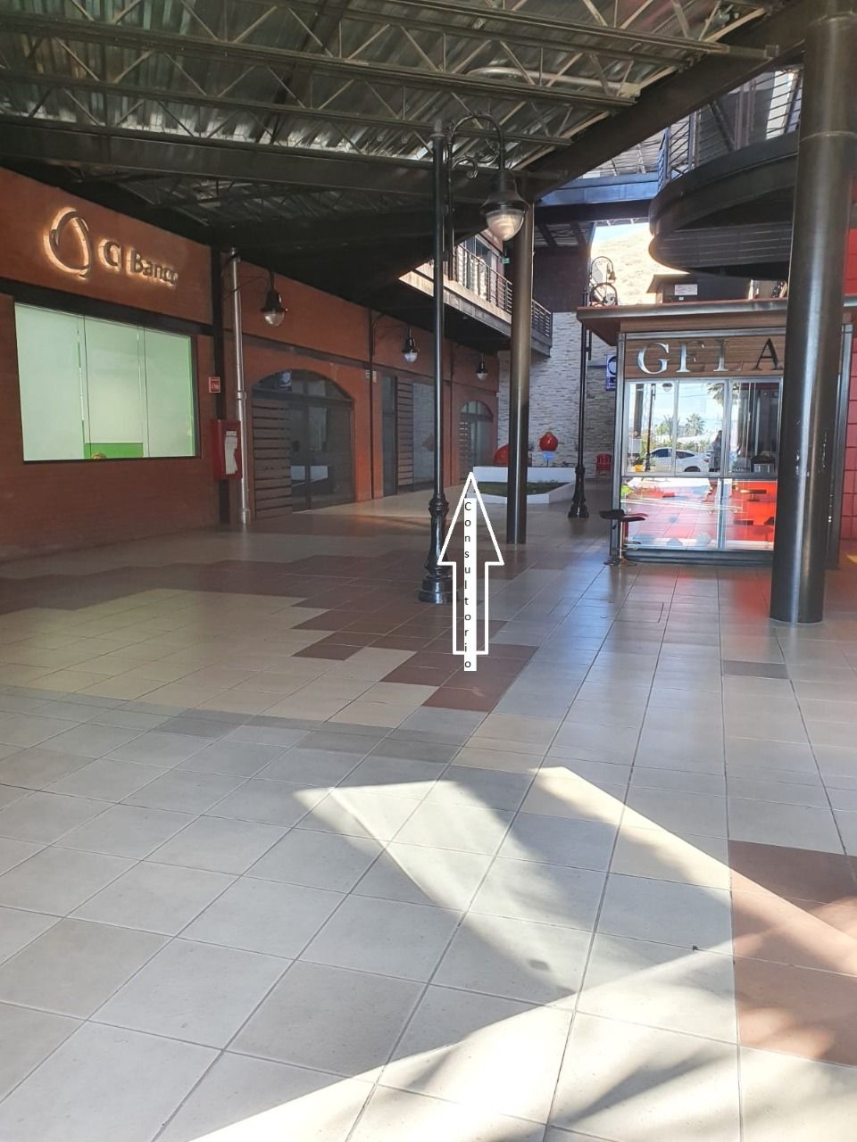 María Guadalupe De La Rosa González-2