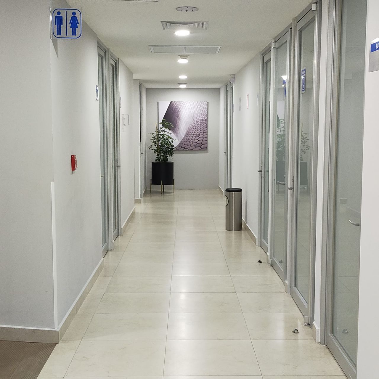 Verónica Isabel Vázquez Negrete-3