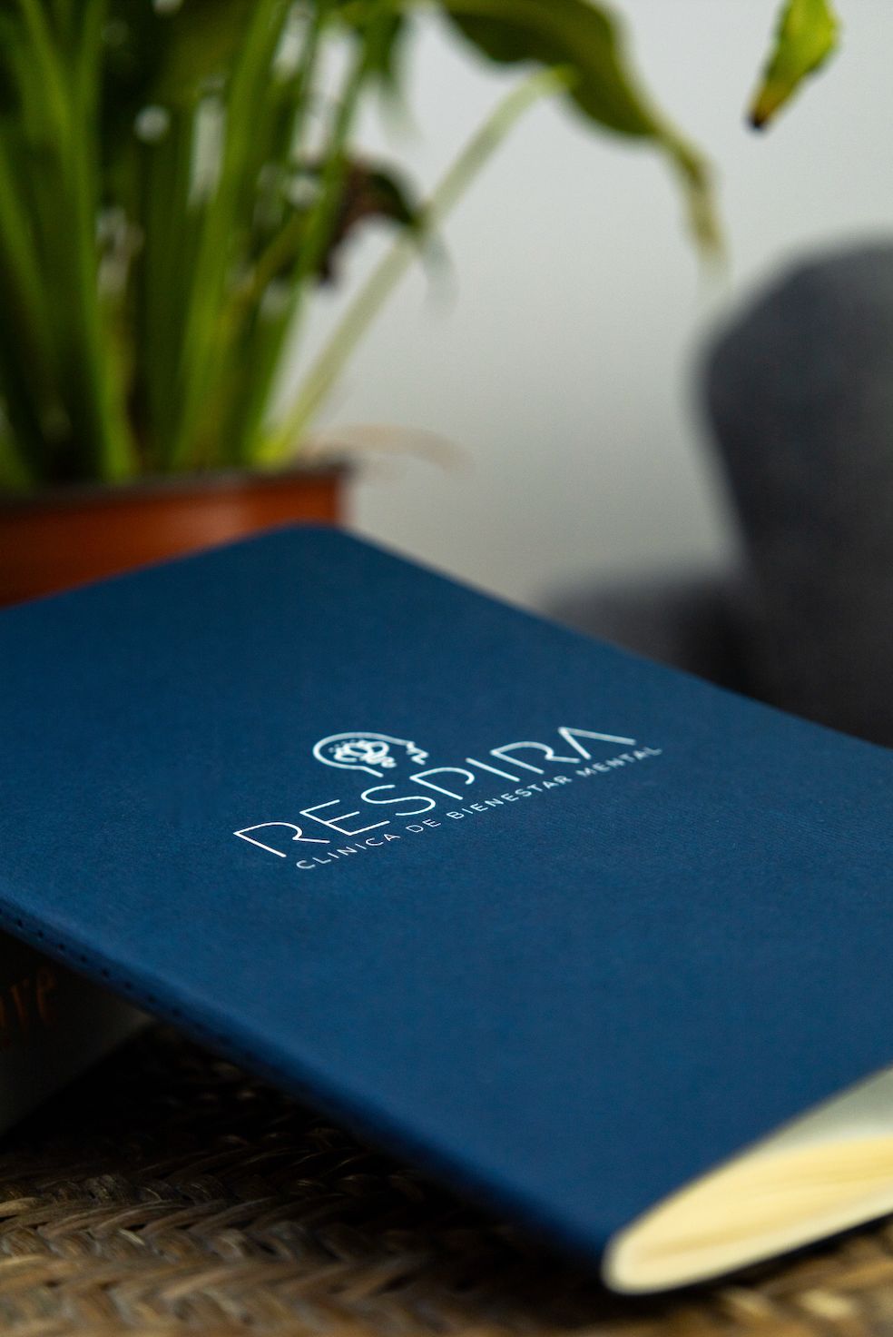 Verónica Espinosa Espinosa-0