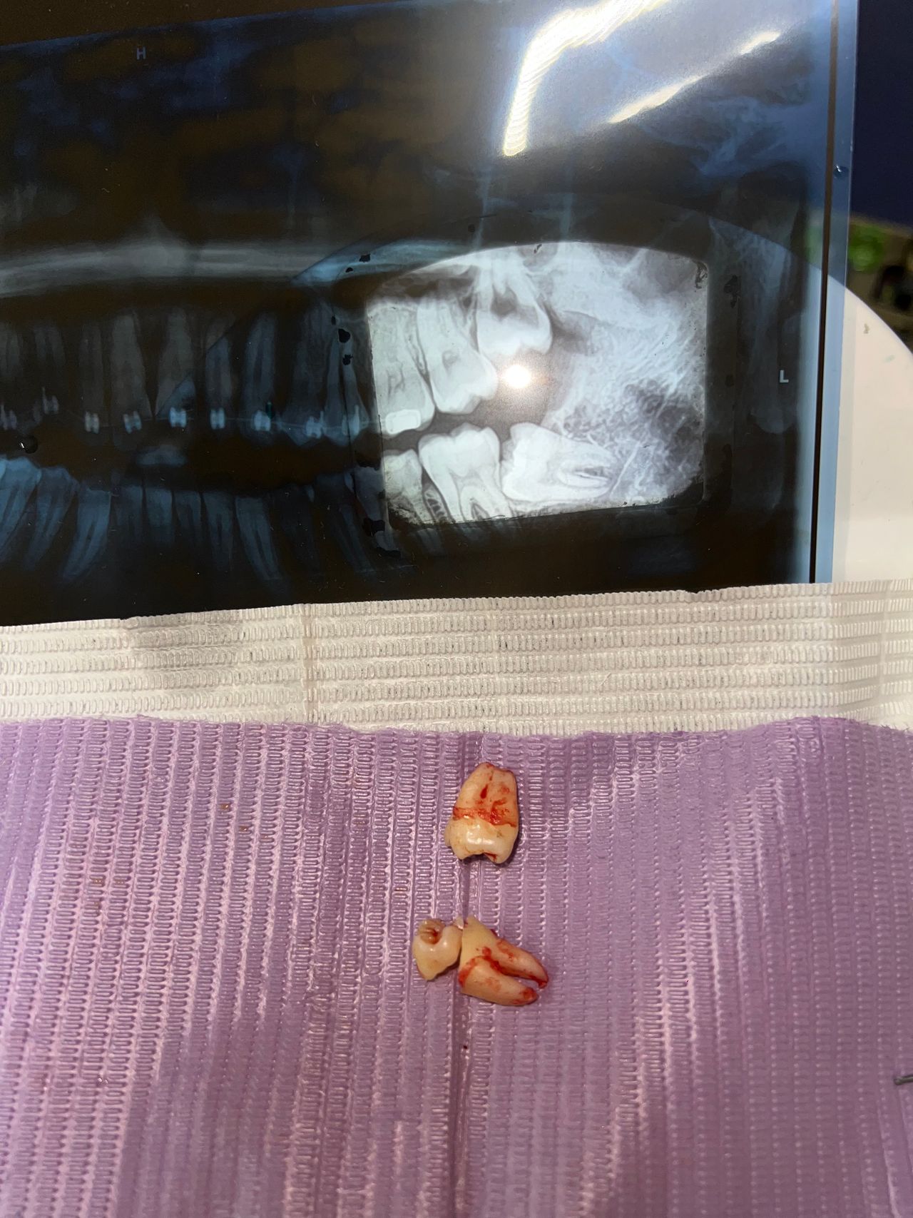 Alejandra Domínguez-7