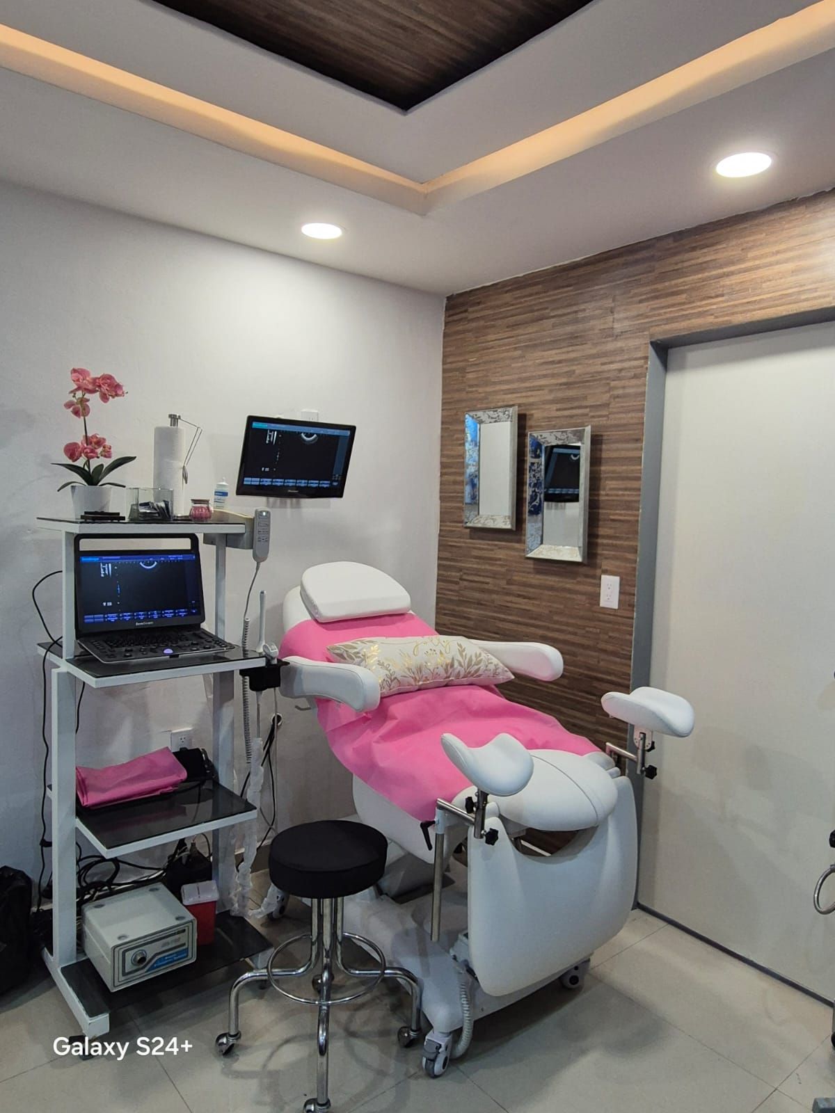 Alejandra Ruiz Cancino-1