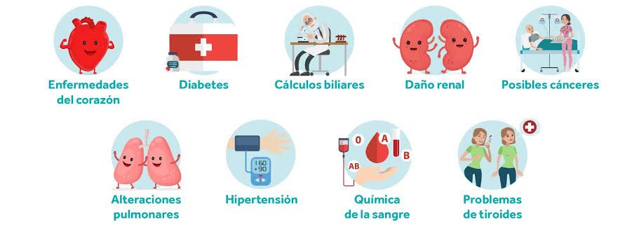 Yolanda Maldonado Miranda-6