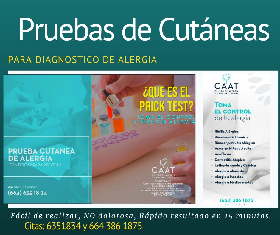 Claudia Ivonne Gallego Corella-12