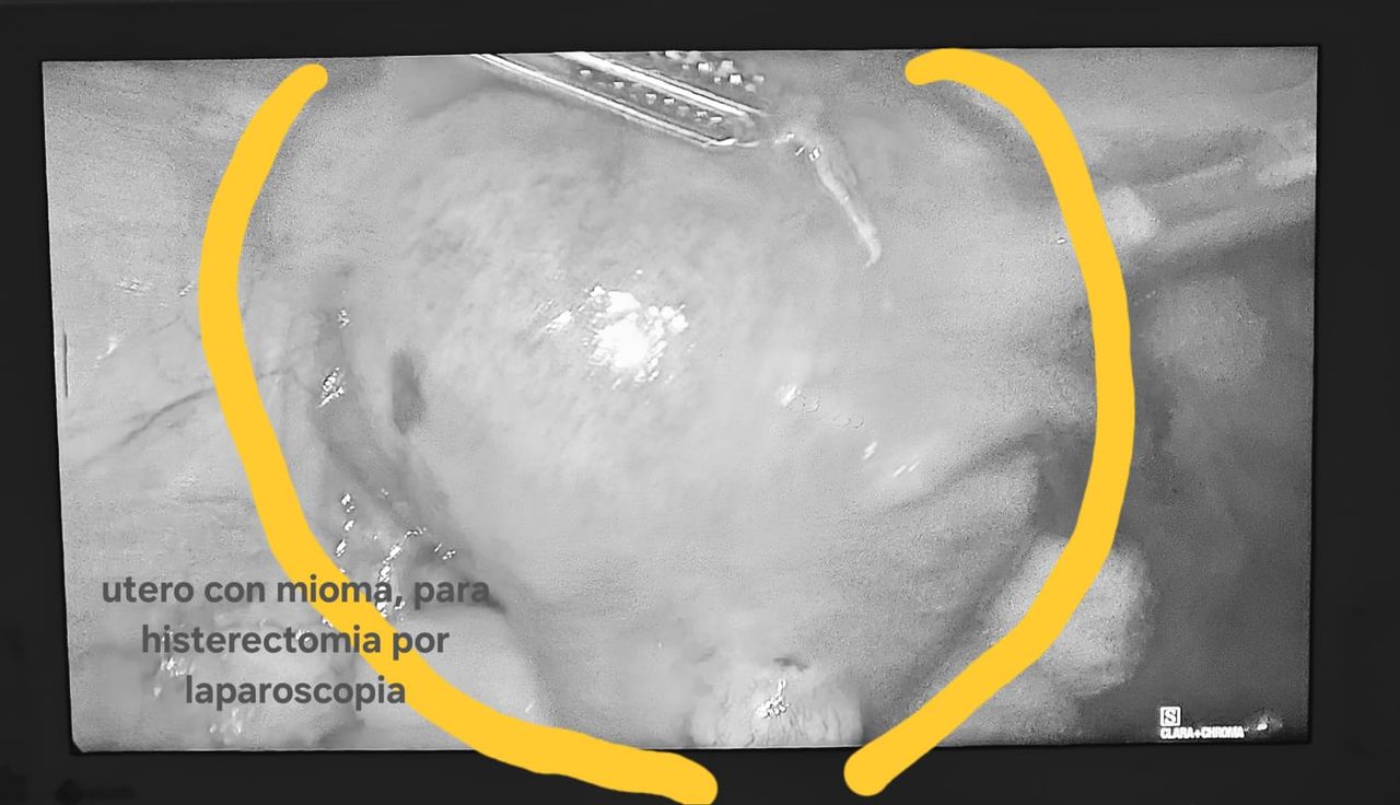 Jorge Alberto Rodriguez Pezino-41