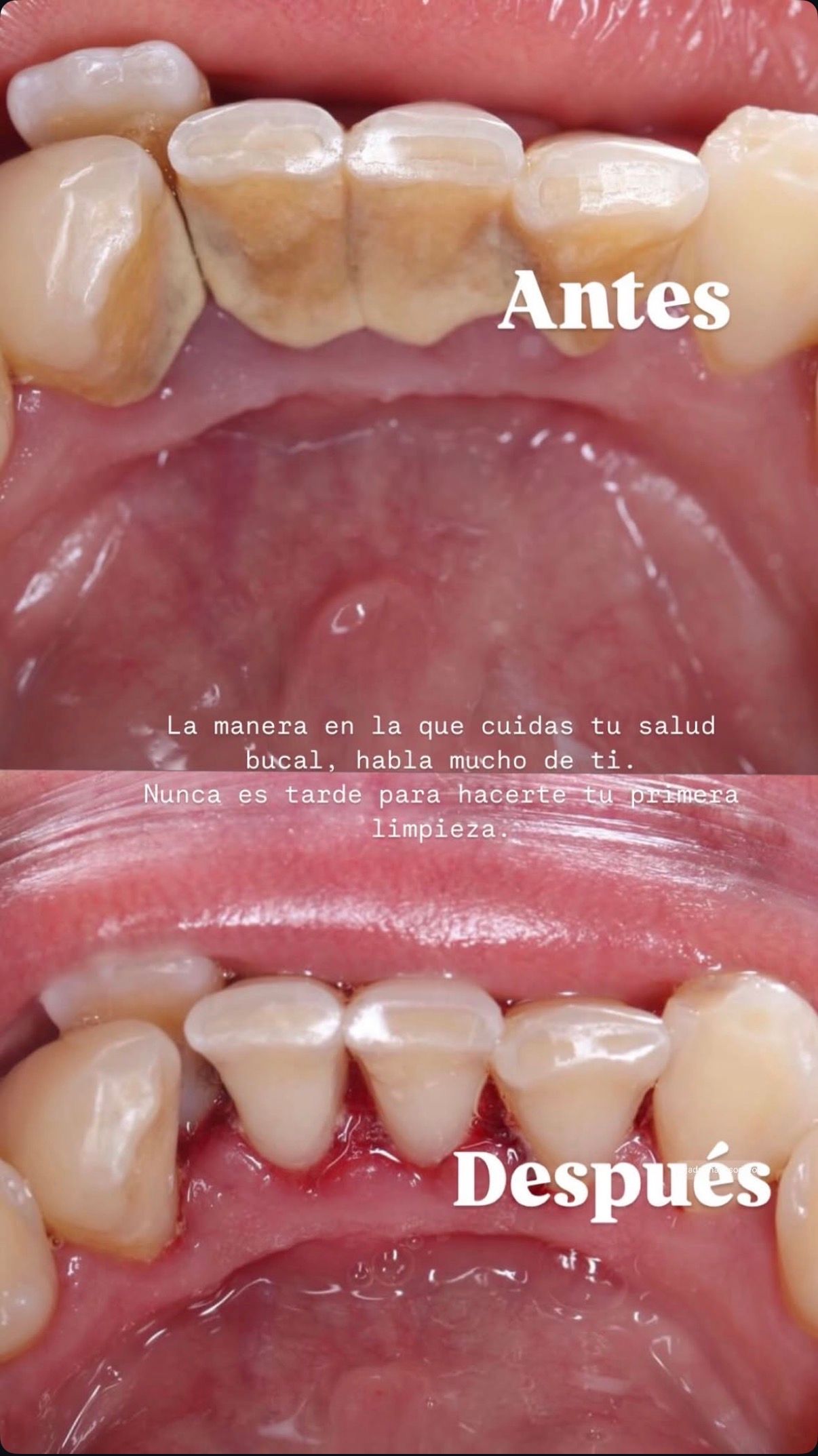 Adriana García Osornio-9