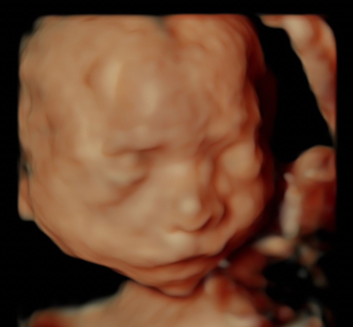 Ramón Mendoza Mares-1