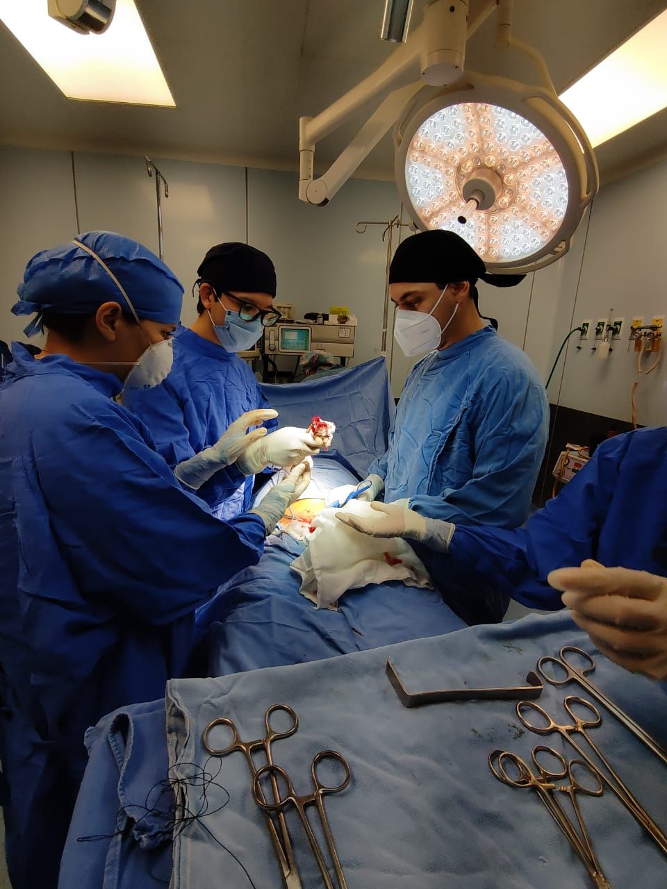 Ana Laura López García-3