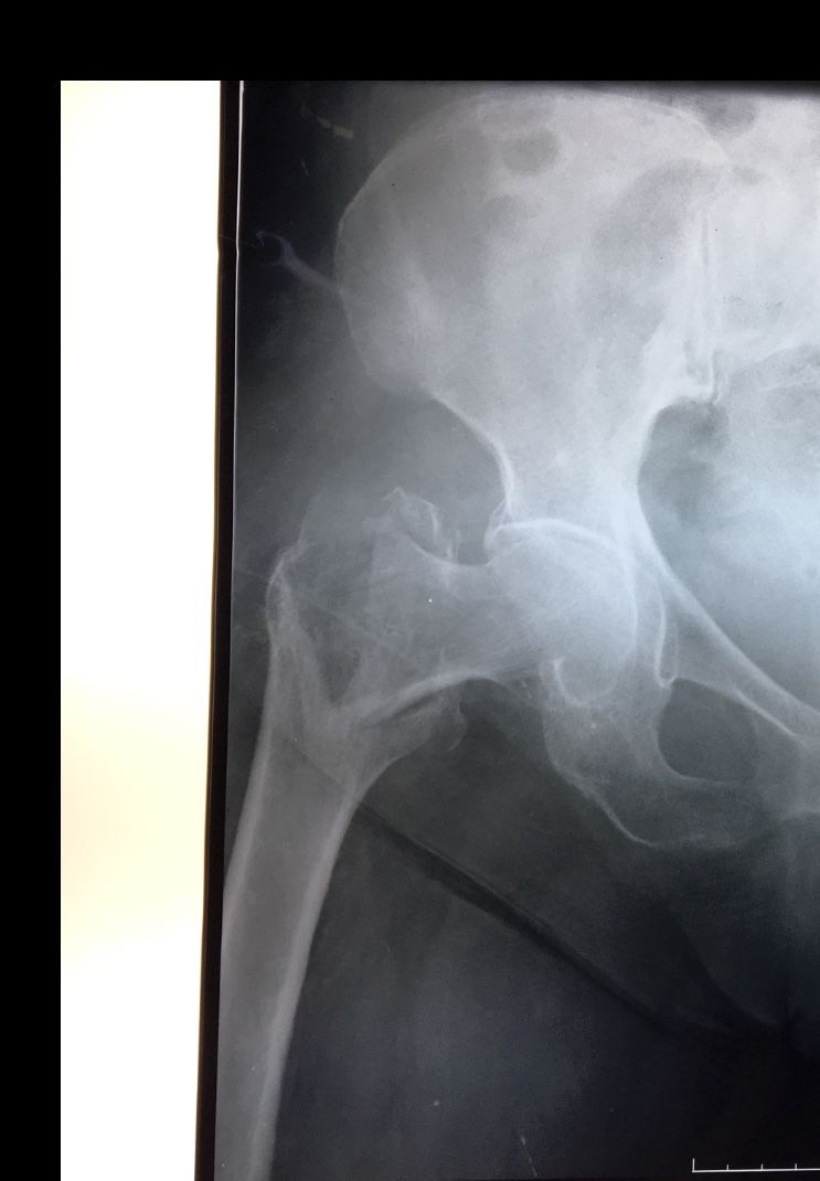 Jorge Zambada Loera-2