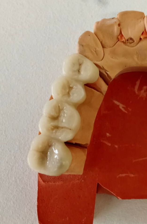 María Paula  Flores Novoa-80