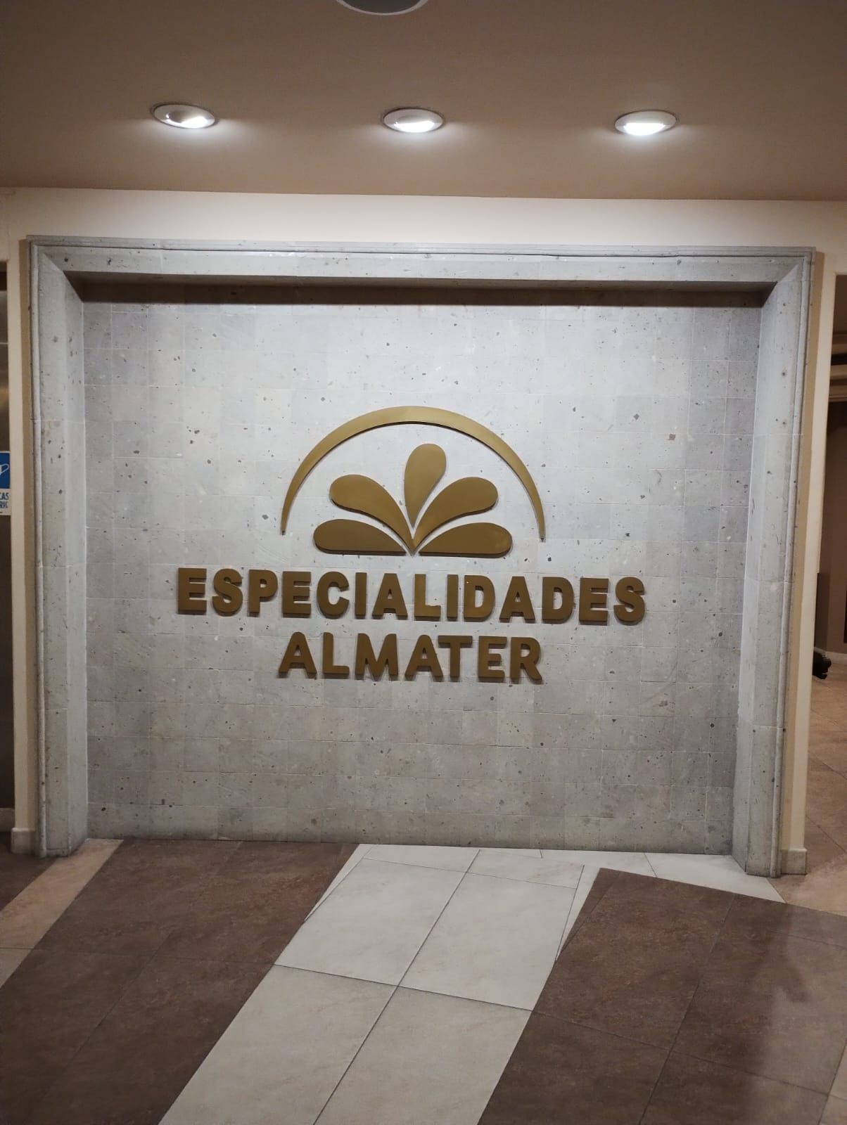 Fernando Bolado Morales-2