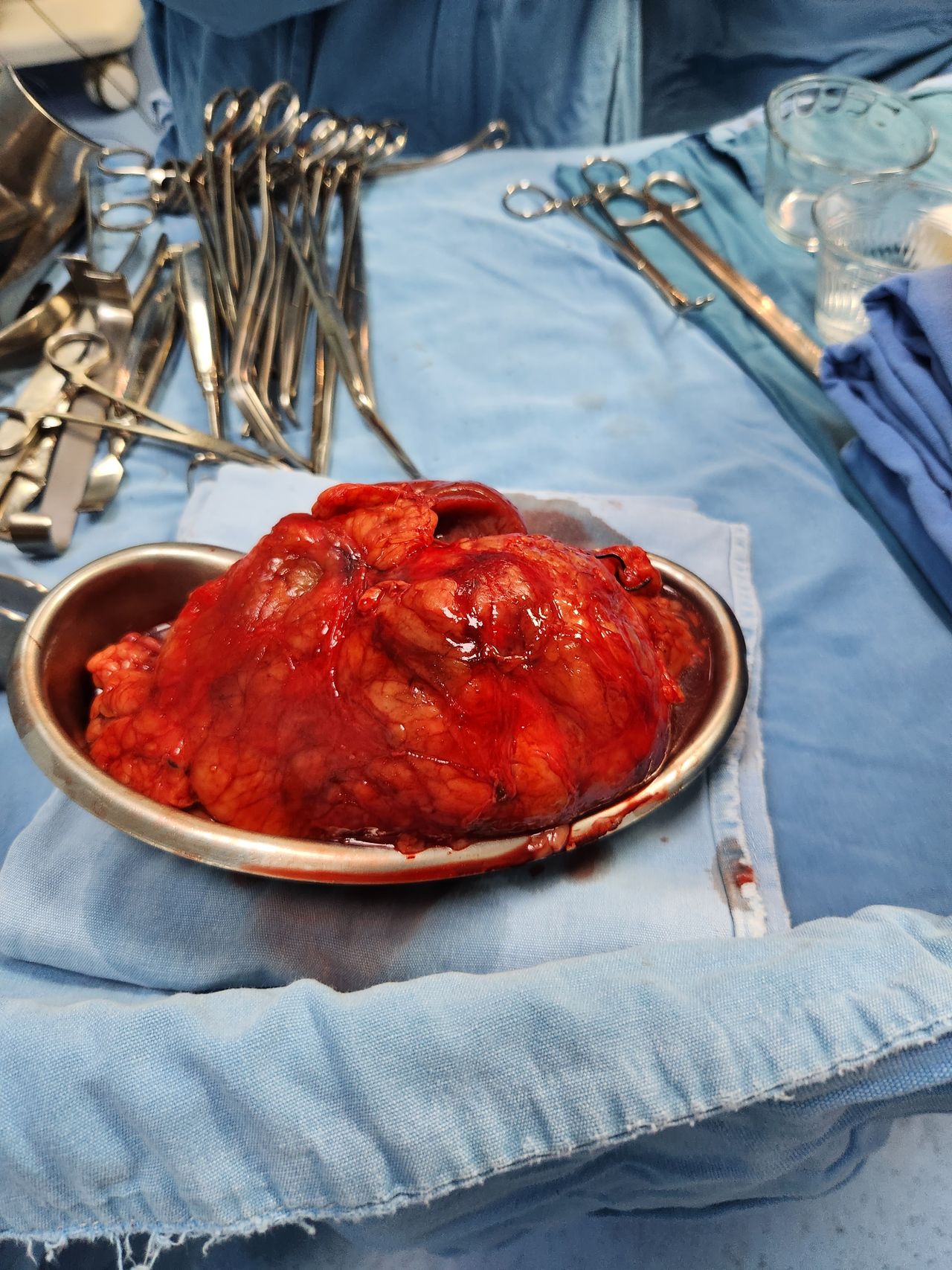 Miguel Angel Rascón Gómez-7