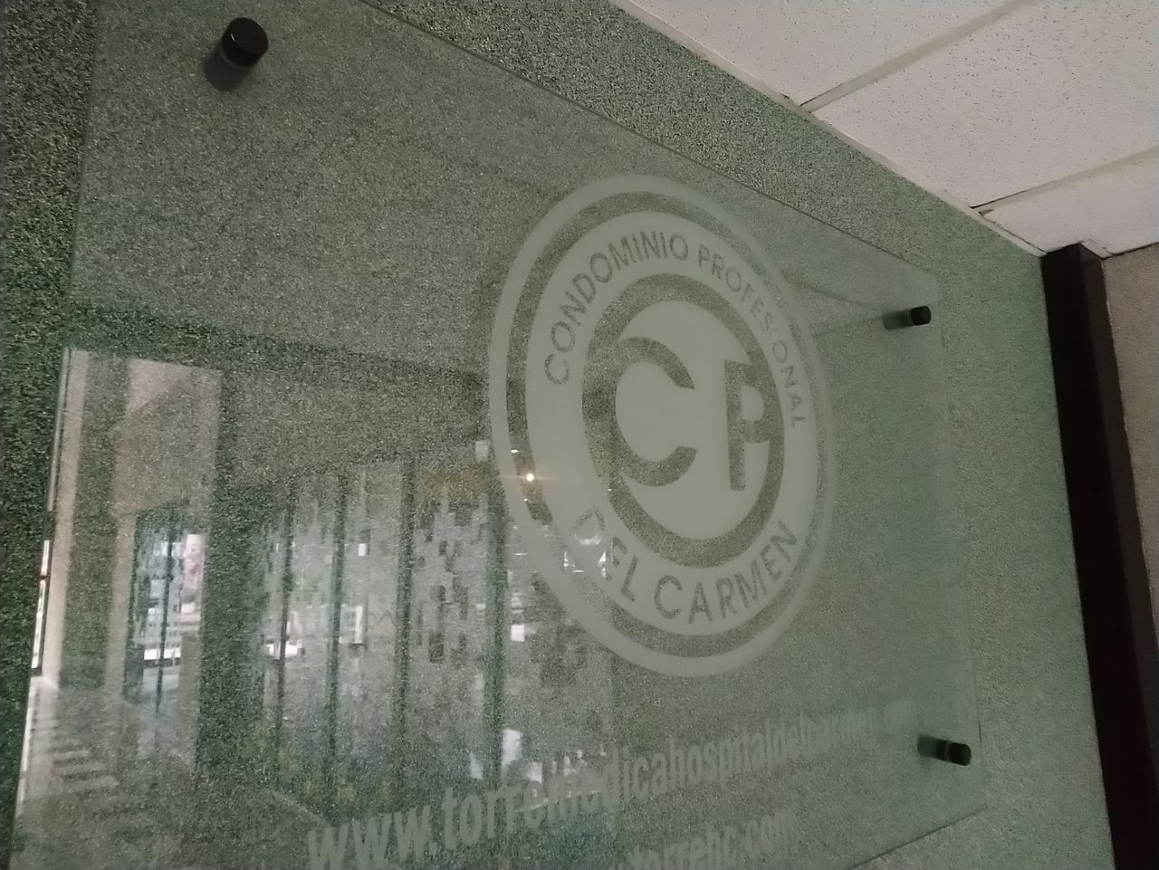 Carmen Leticia Aranda Gómez-1