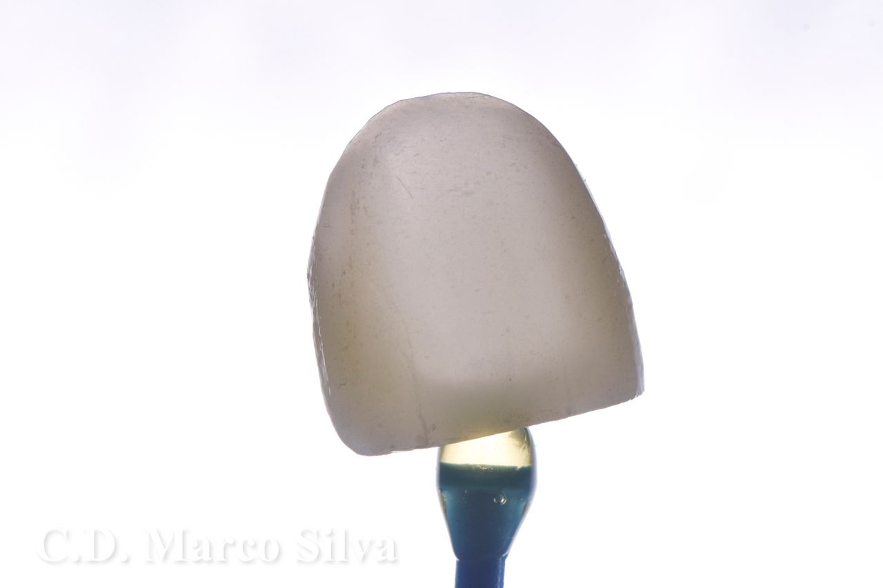 Marco Antonio Silva-8