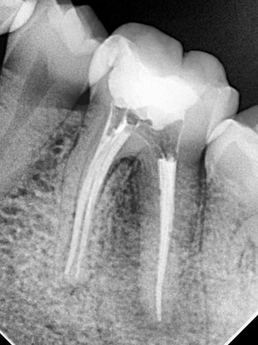 Vania Núñez Rosas-10