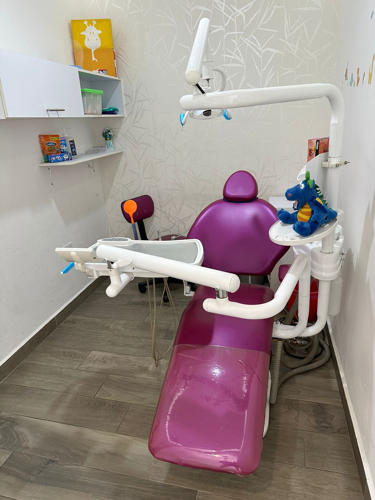 Luz Beatriz Acosta Salazar-4