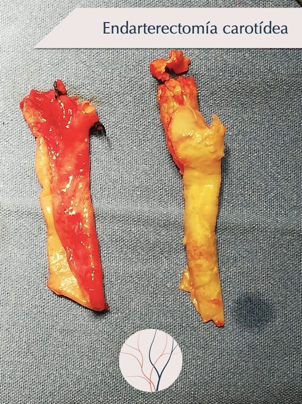 Erika Berenice Ramírez Pérez-3