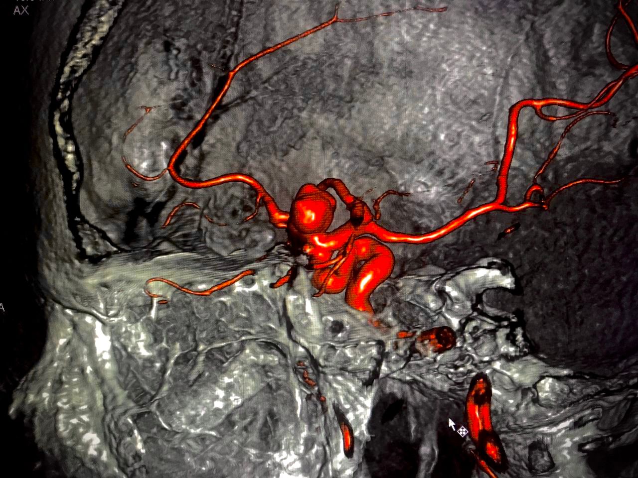 Celia Teresa De Jesús Álvarez Gamiño-39