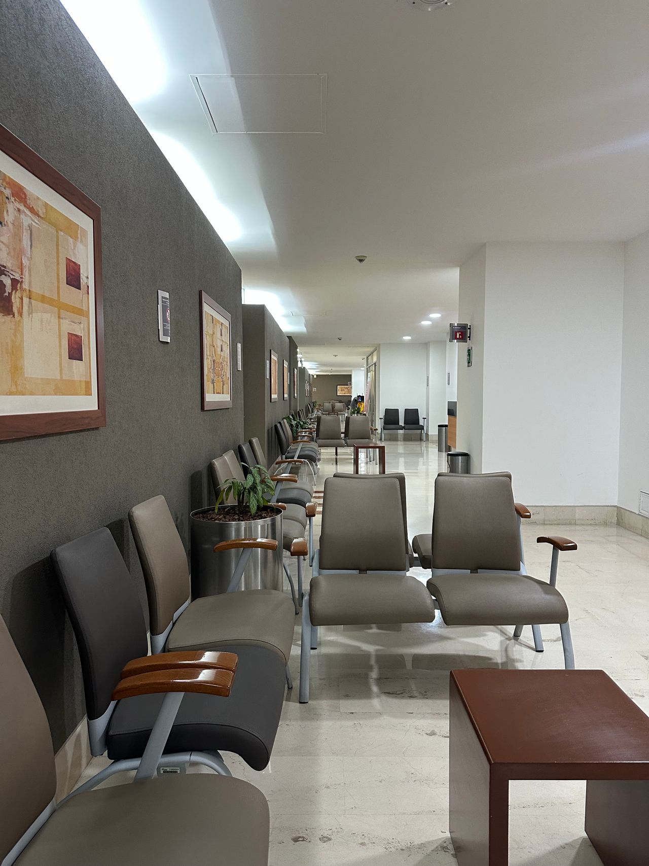 Camila Loreto Sánchez Ruiz-2