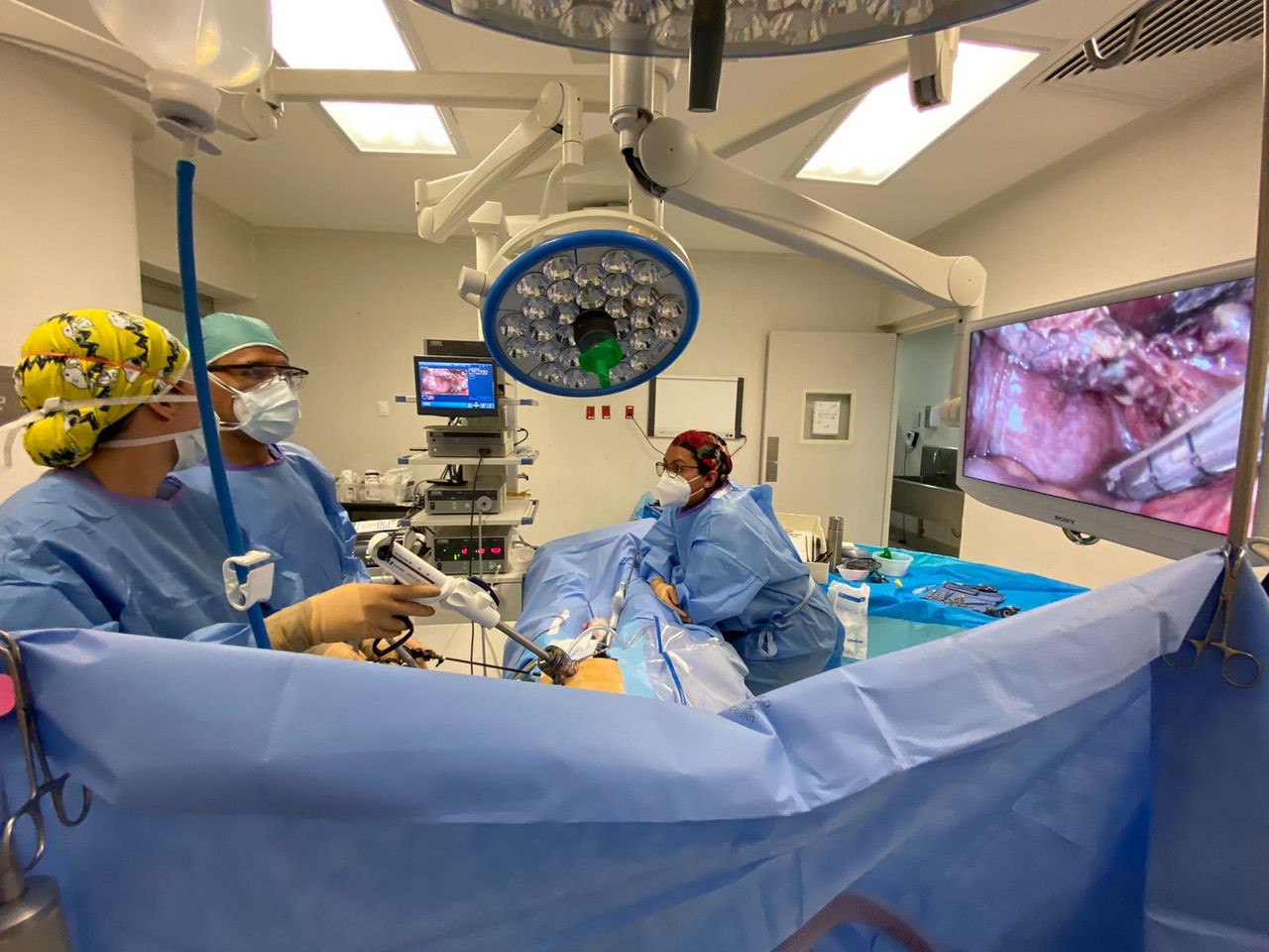 Karen Tamara Herrera Contreras-5