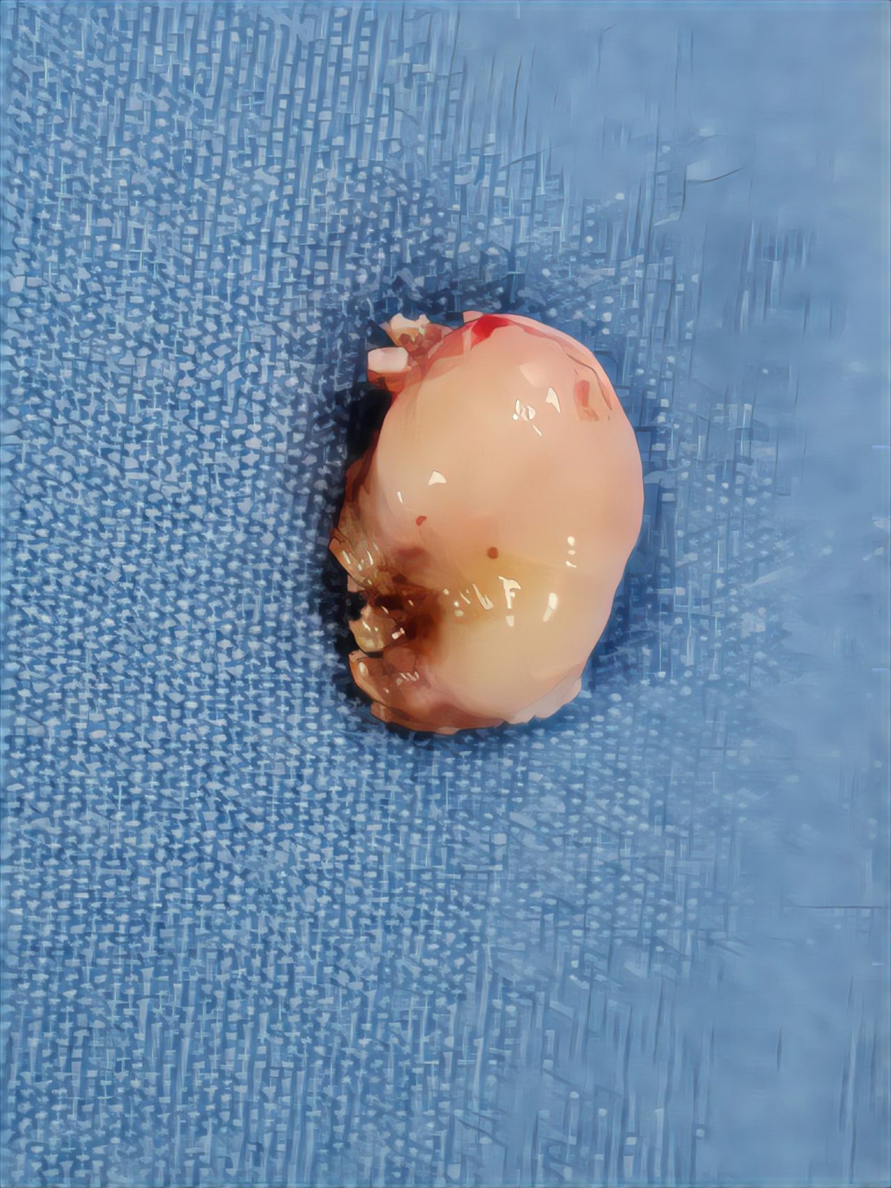 Gilraed Mota García-8