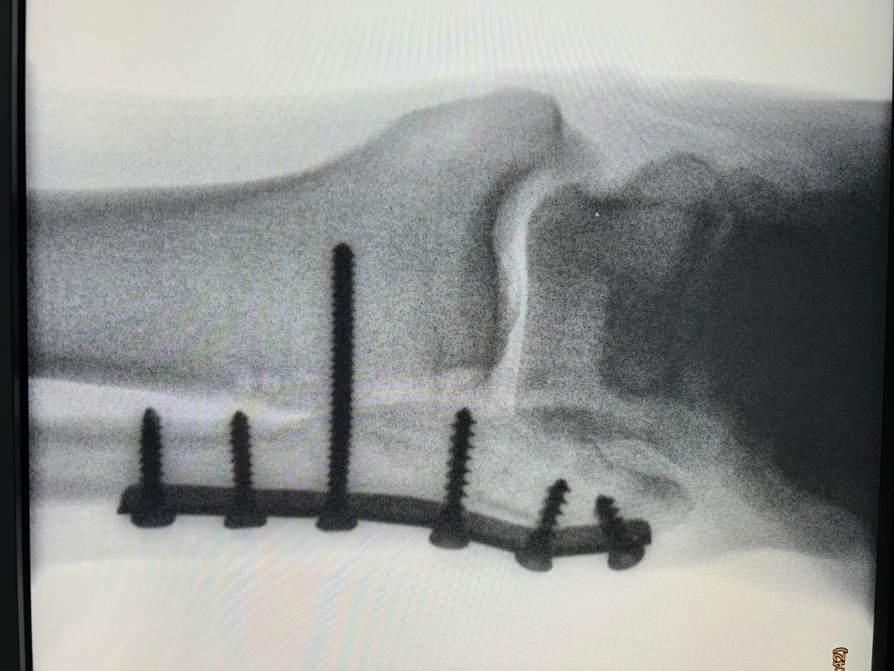 Rodrigo Alamilla López-11