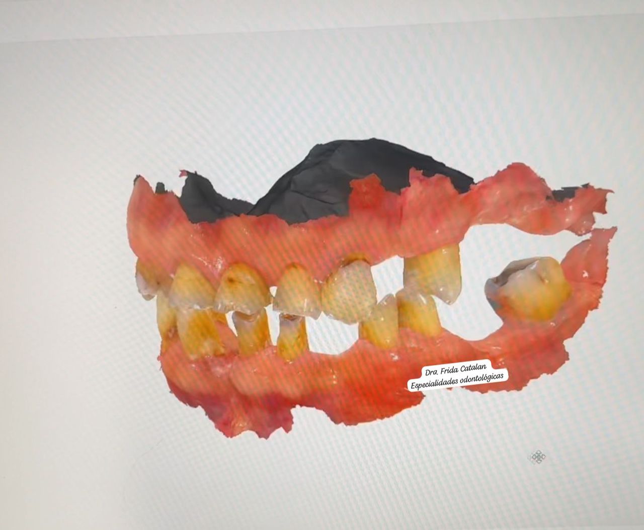 Frida Catalan Verdi-3