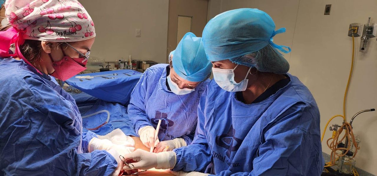 Flor Robles Alvarado -3