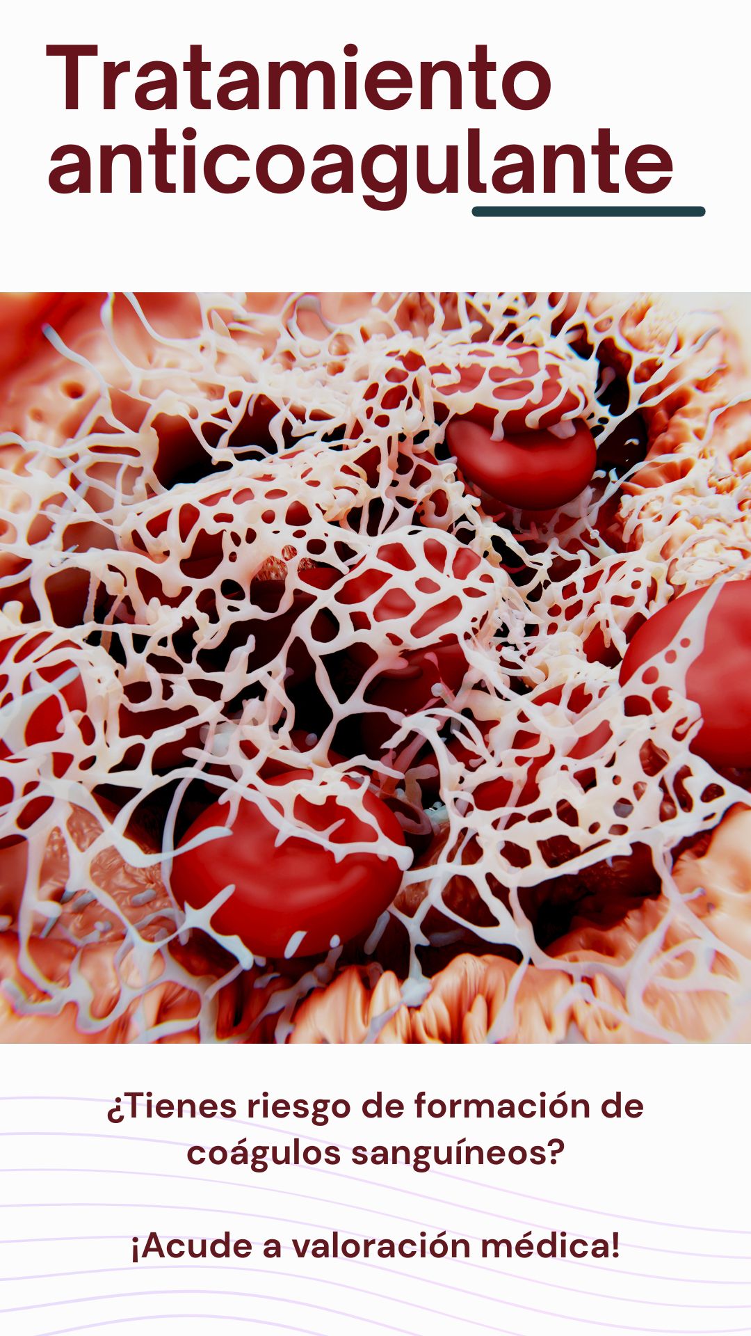 Rosio Lopez Reyes-18