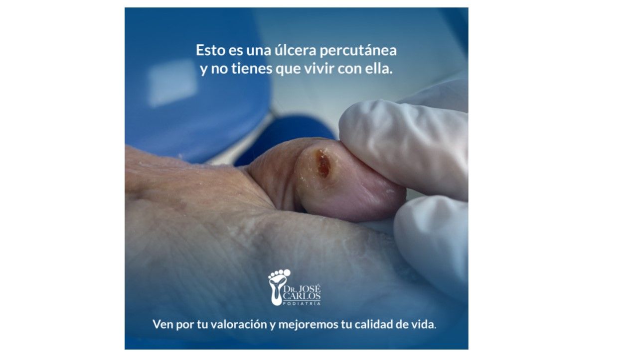 José Carlos Lopez Garza-7