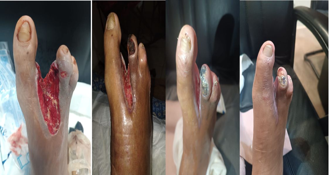 Diana Mojarro Velazco-12