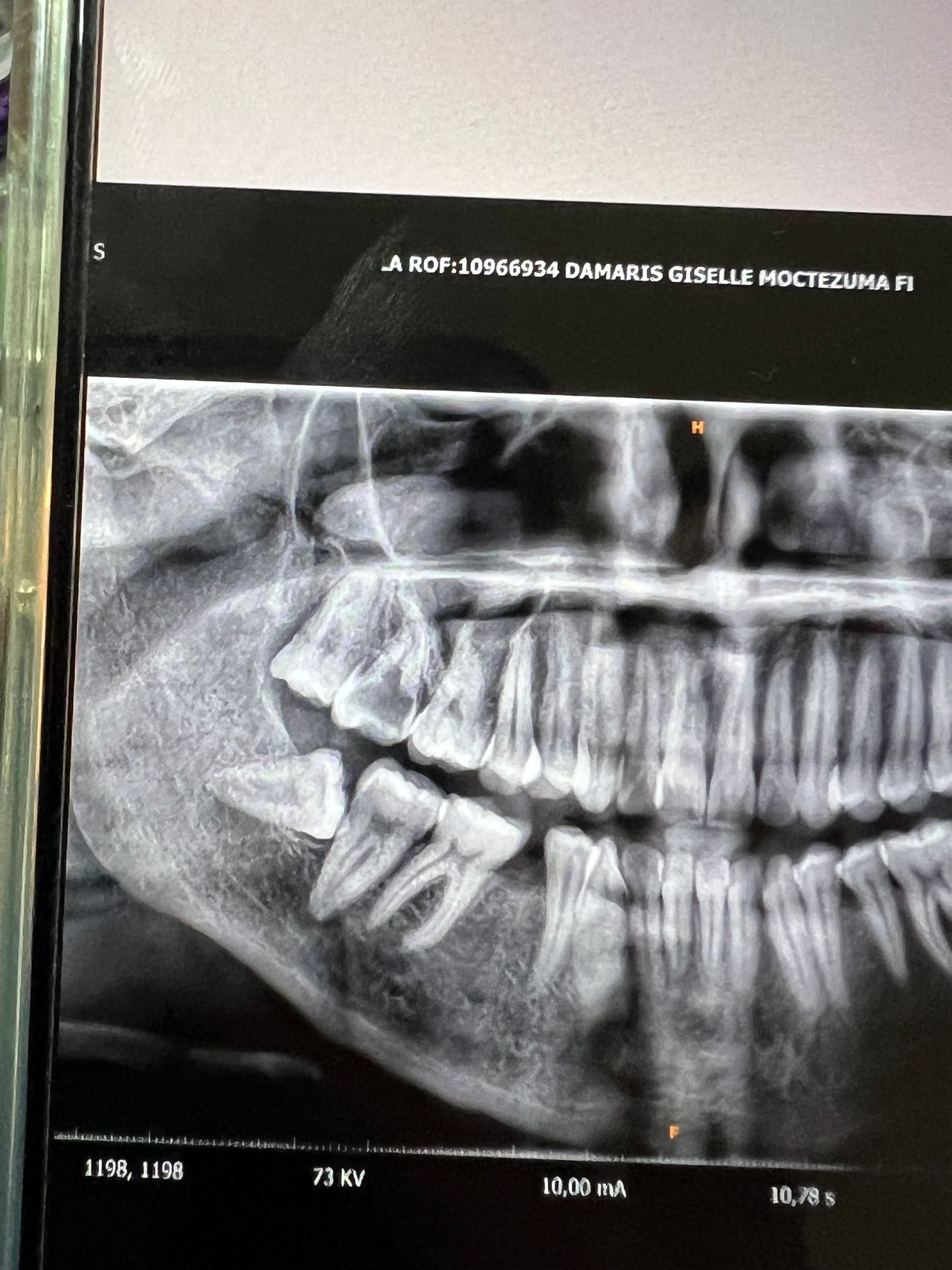 Alejandra Domínguez-2