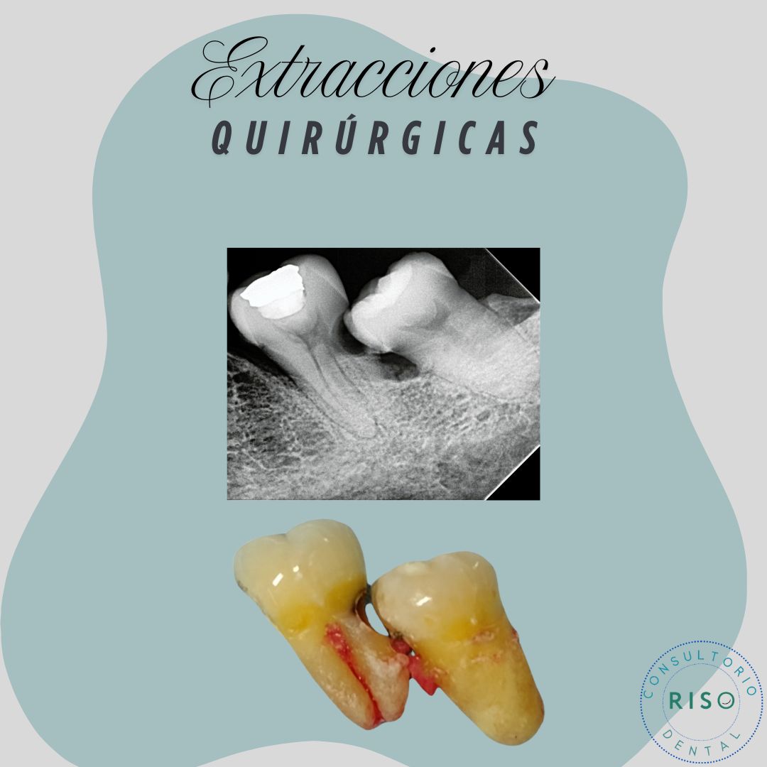 Cinthya García Sámano-11