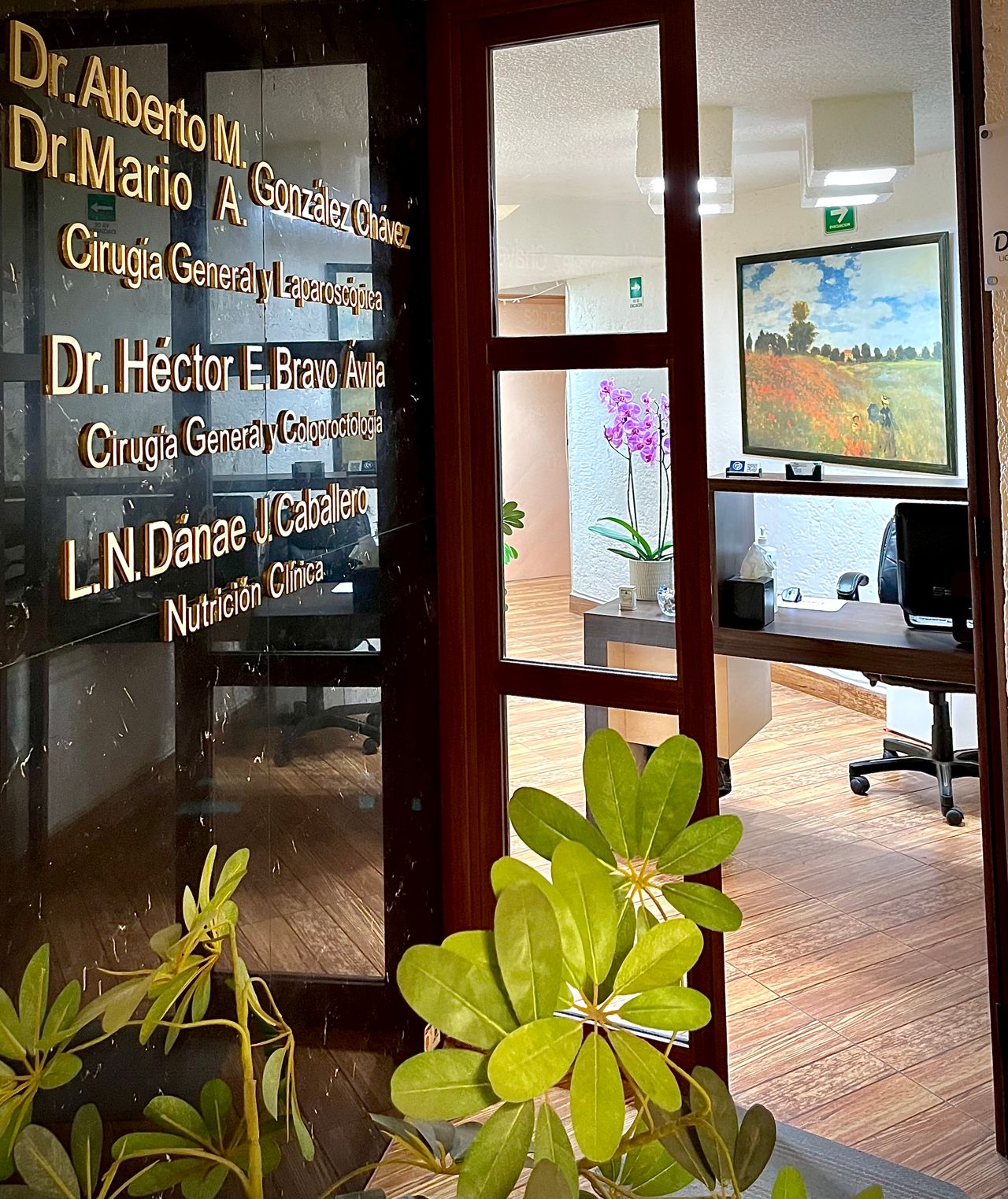 Hector Bravo Ávila-5