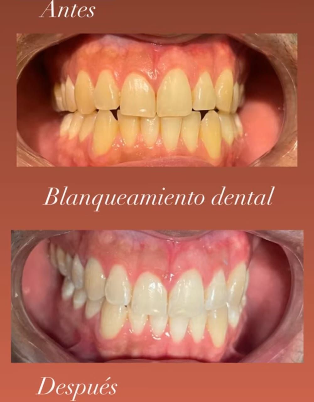 María De Jesús Albuerne Núñez-2