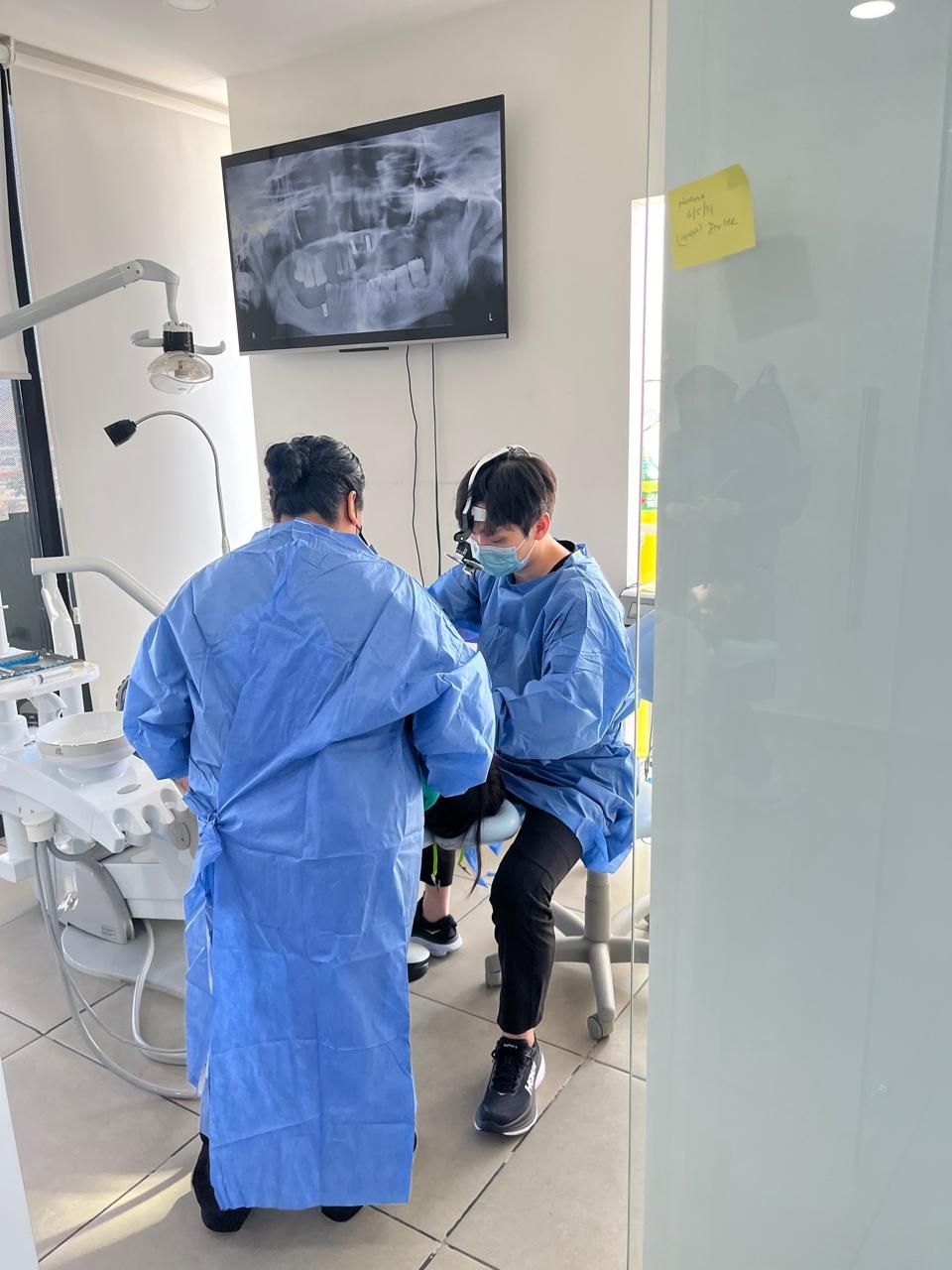 Alberto Wintergerst Fisch-19