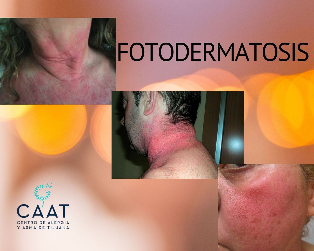 Claudia Ivonne Gallego Corella-10