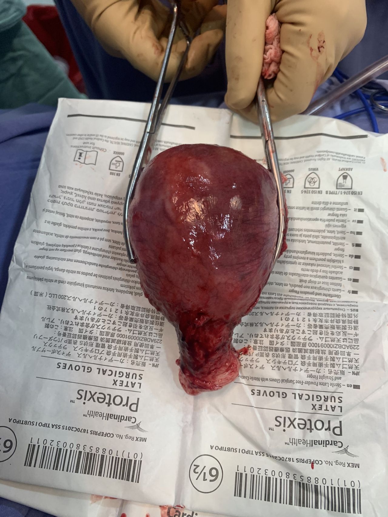 Alma Delia Arce Romero-27