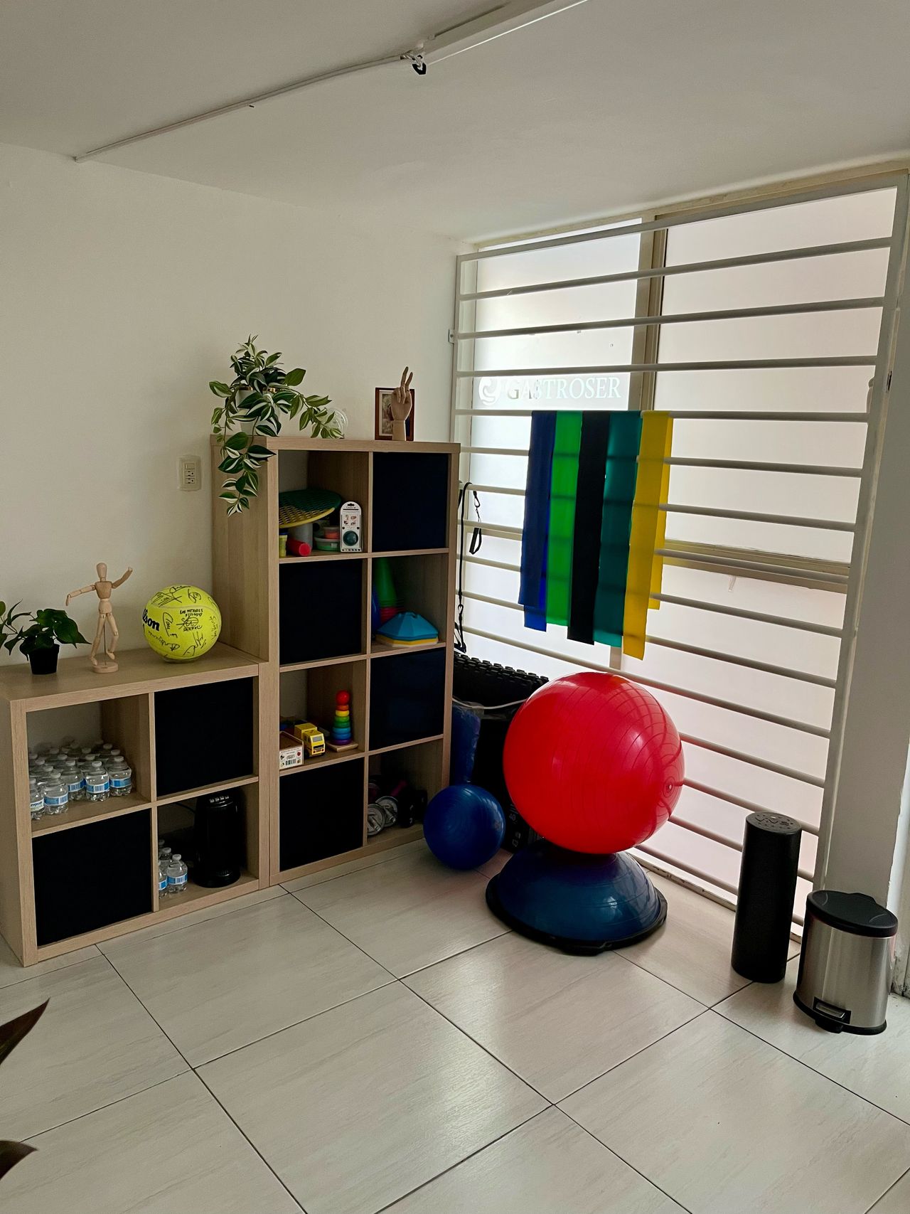 María José Sedano Sotomayor-1