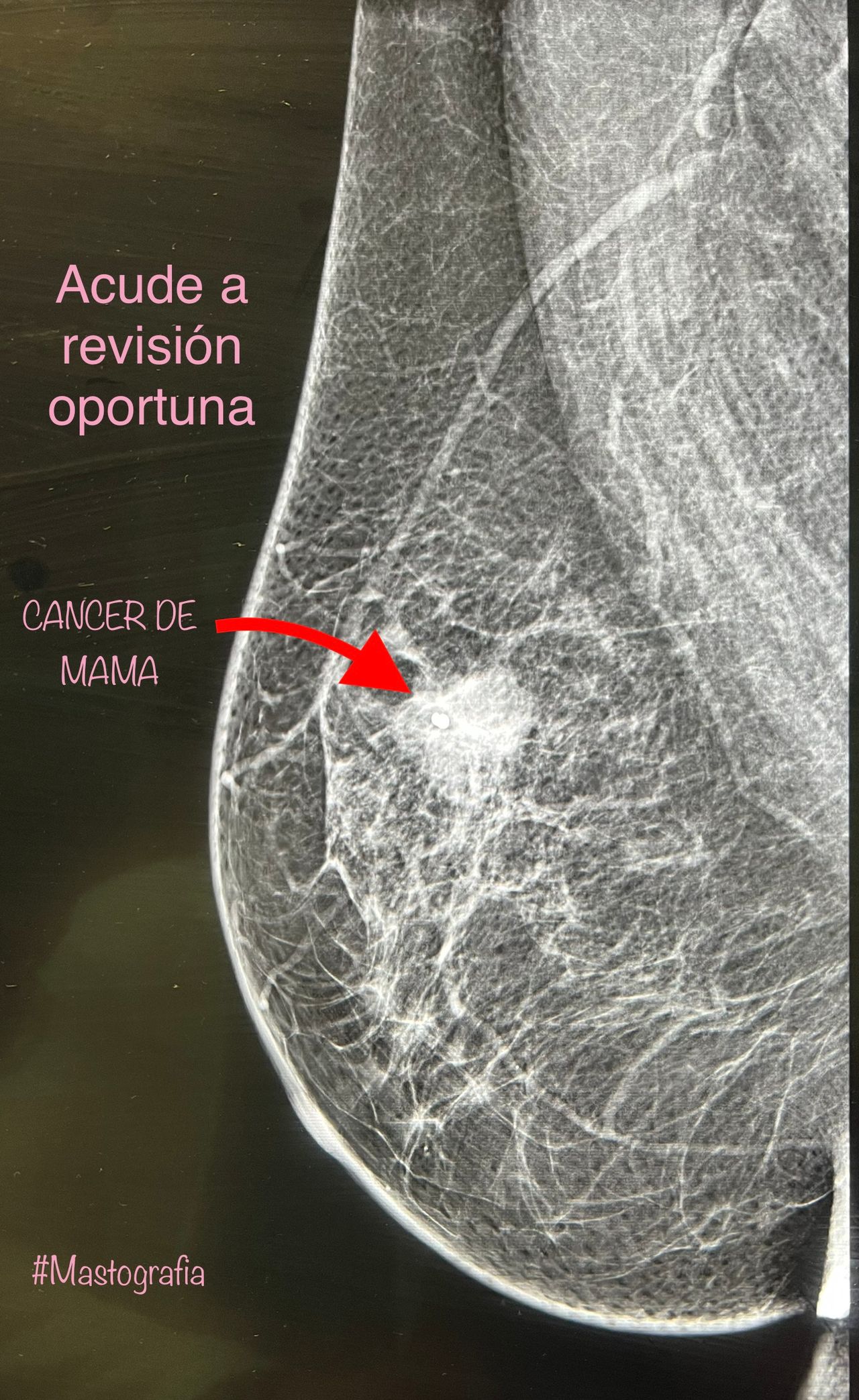 Saúl Núñez Del Toro-4