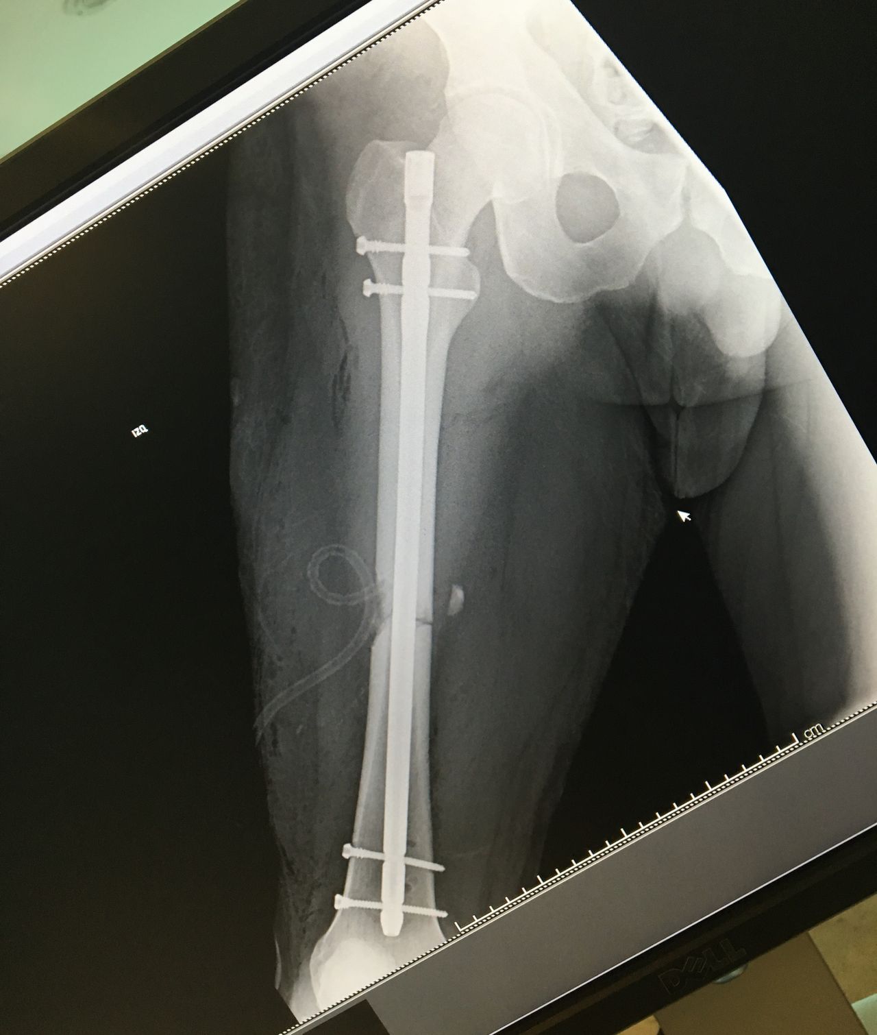 Jorge Zambada Loera-9