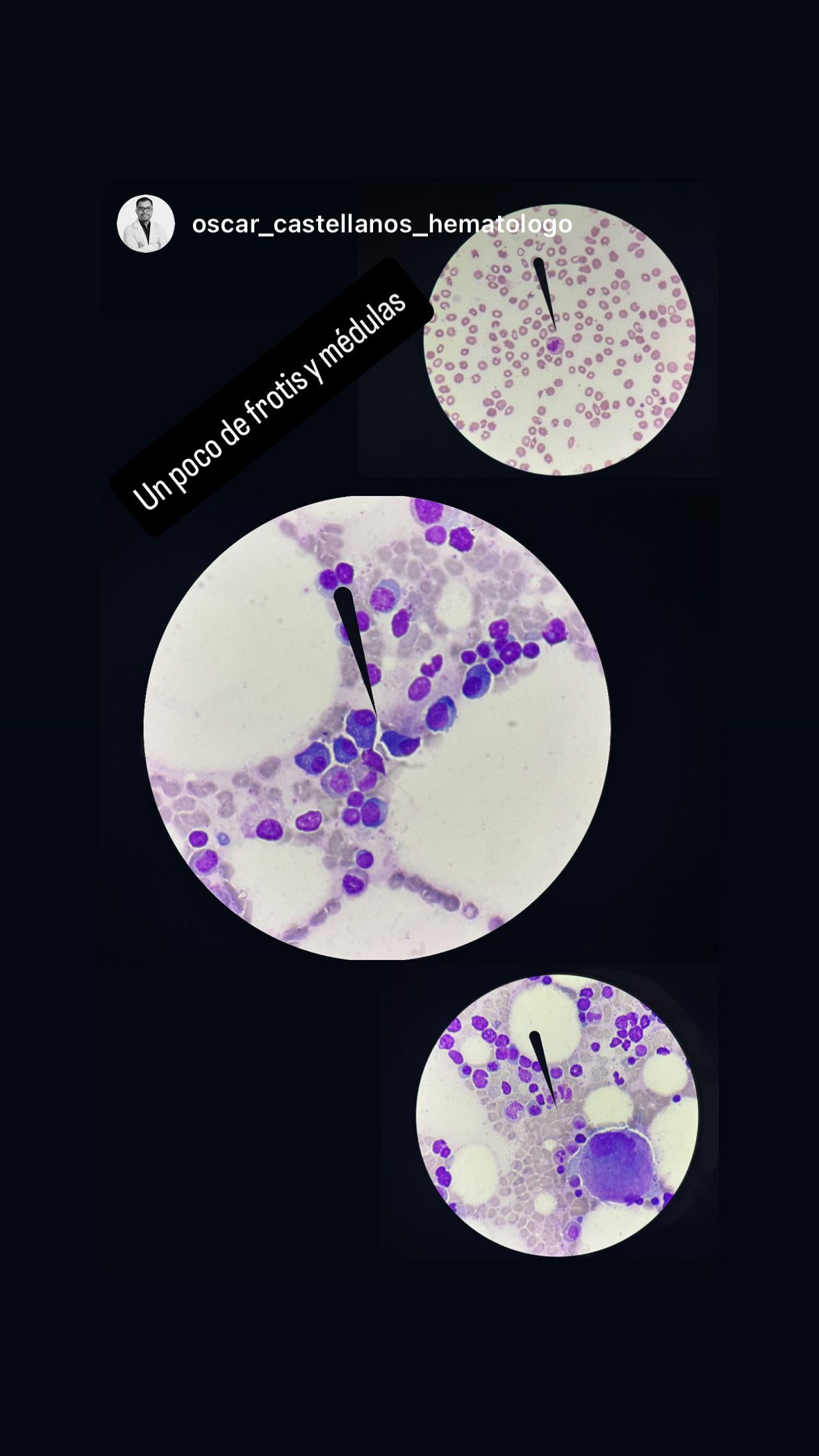 Oscar Eduardo Castellanos Velazco-6