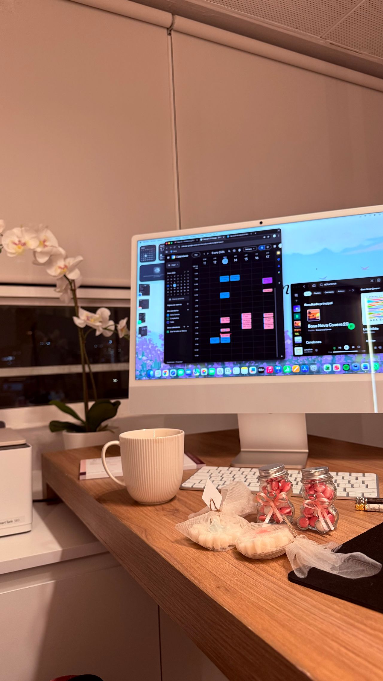 Diana Villicaña Guerrero-11