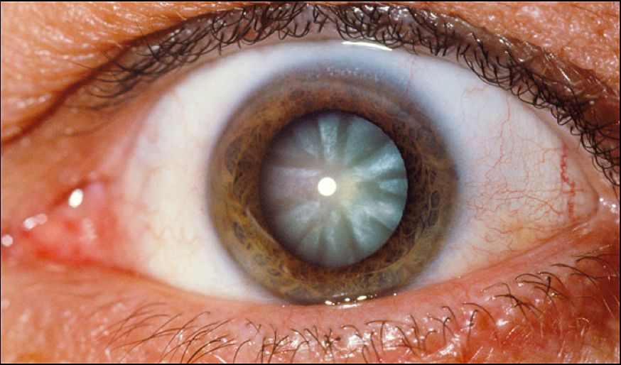 Karla Itzel Rojas Morales-1