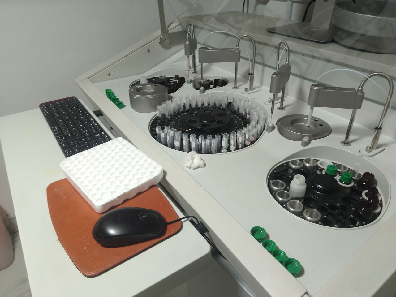 Malinali Alemán Ramírez-6