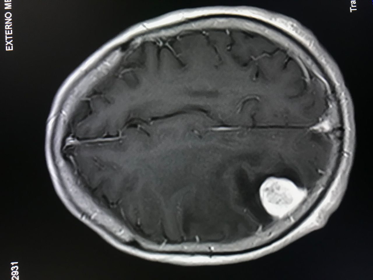 Rafael Maciel Morfin-31