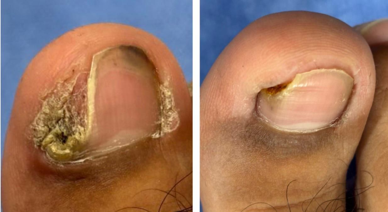 Pamela  Palacios Vega-2