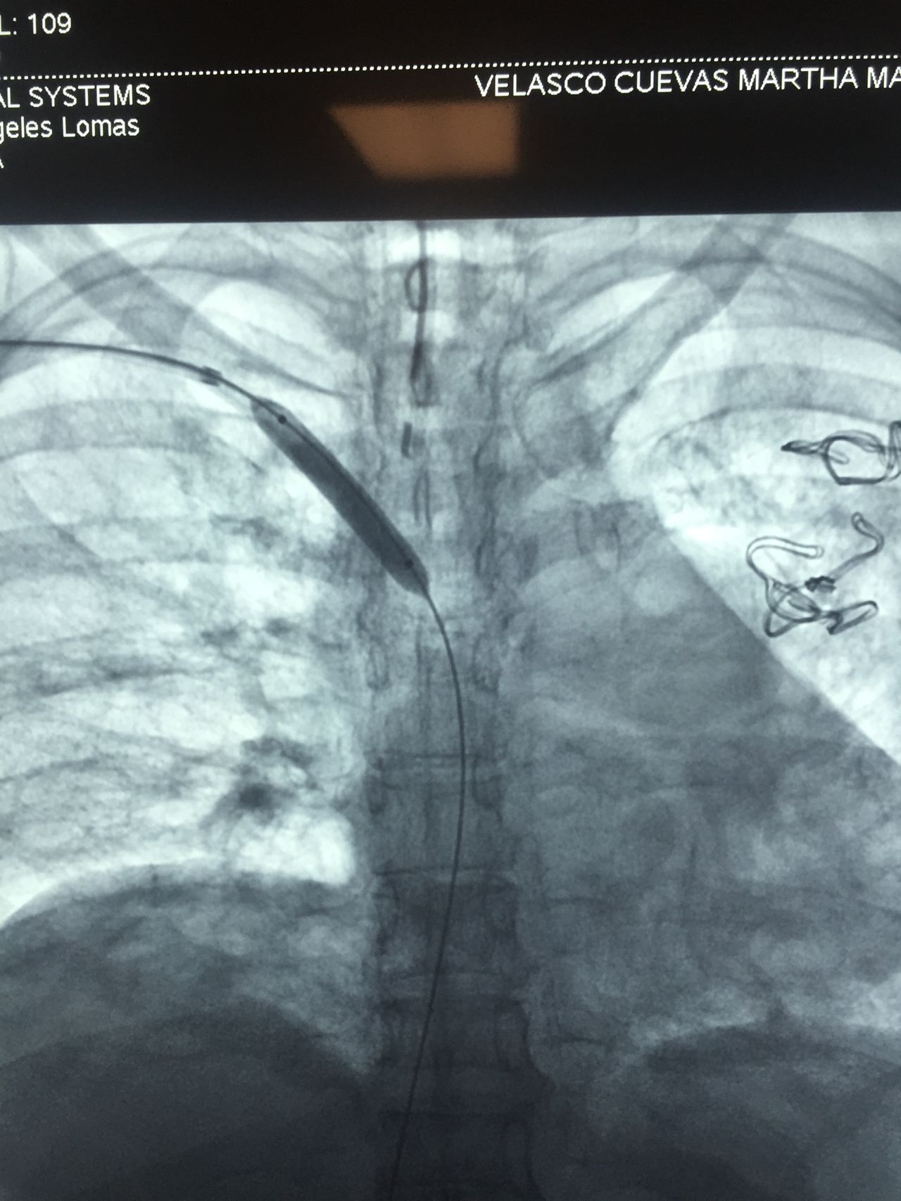 Roberto Águila Márquez-16
