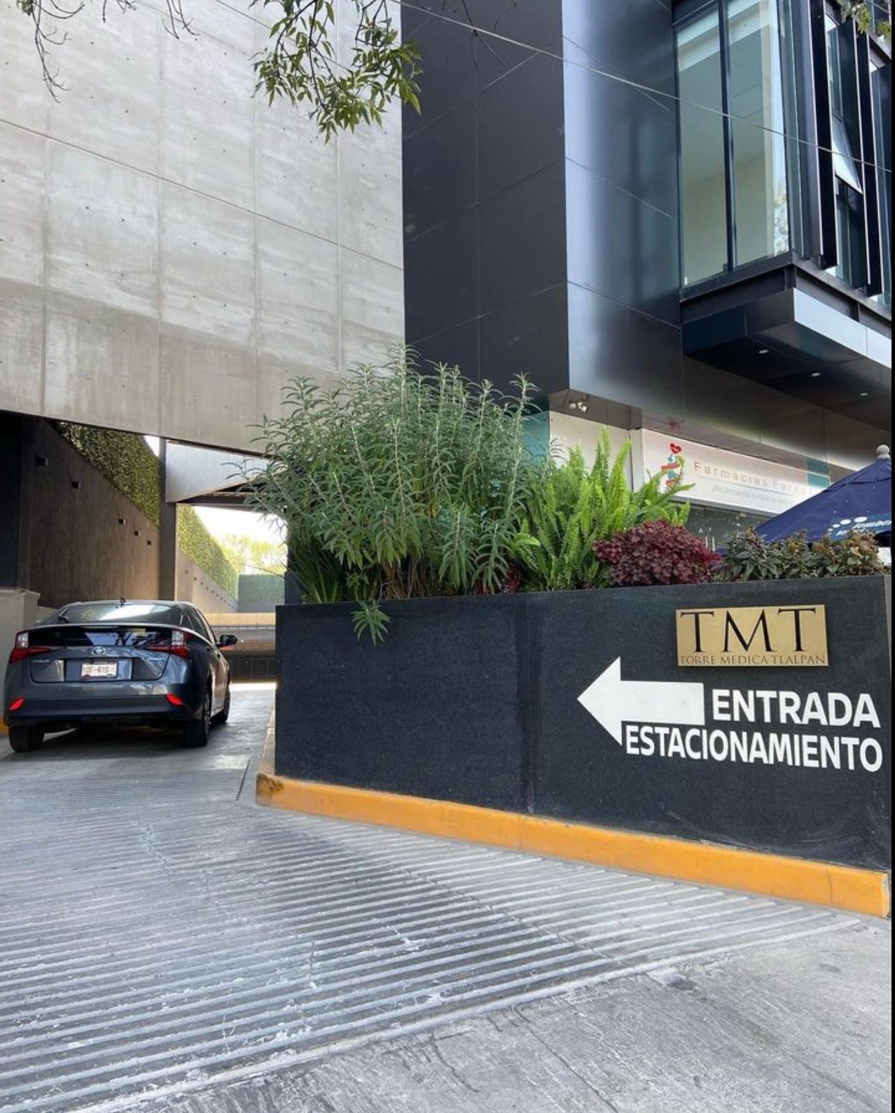 Areli Torres Castro-4